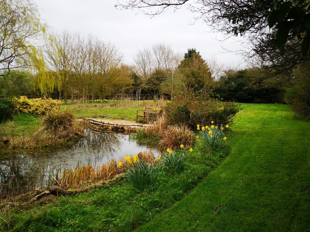 garden with lake